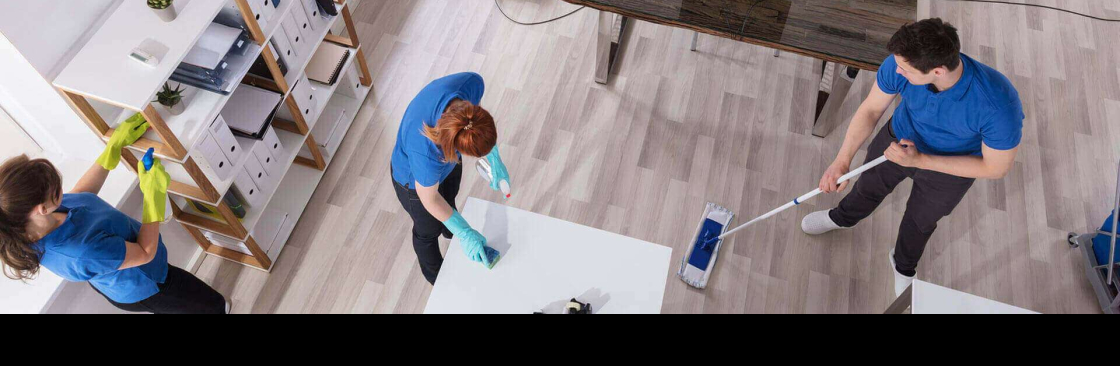 Tricity Cleaners Cover Image