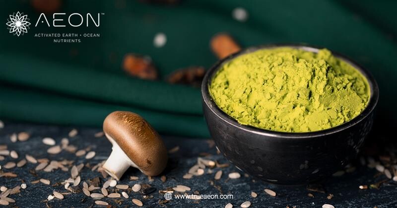 Greens Powder with Mushrooms and Natural Detox Benefits  – Telegraph