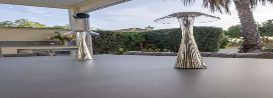 Susana Guerreiro Cover Image