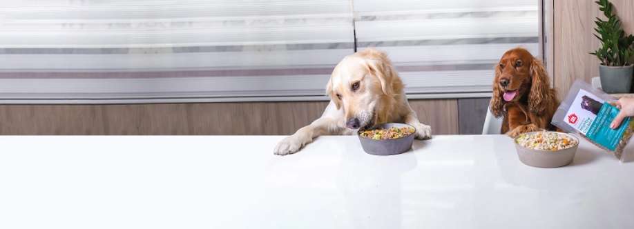 Paw Pots Dubai Profile Picture