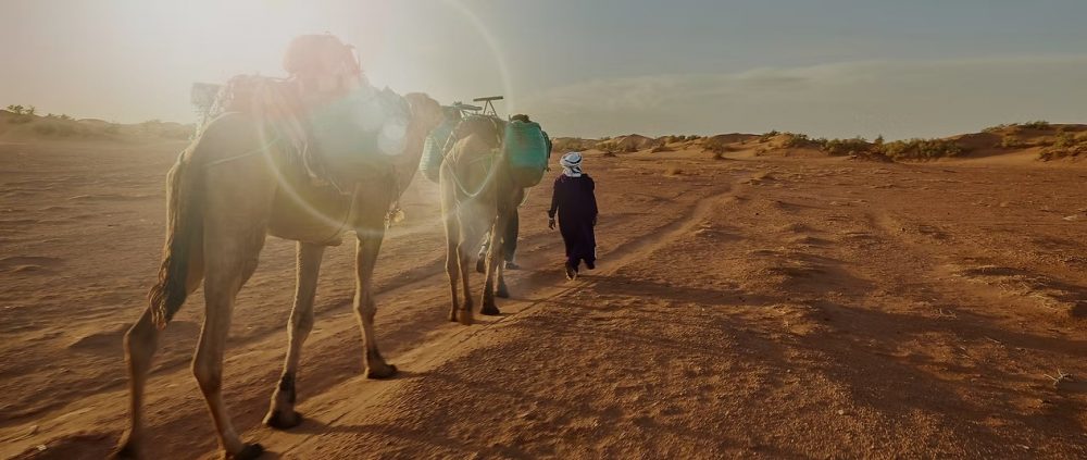 How Private Tours Boost Your Travel Comfort and Freedom