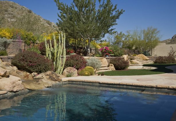 Affordable Residential Landscaping Tips for Phoenix Homes