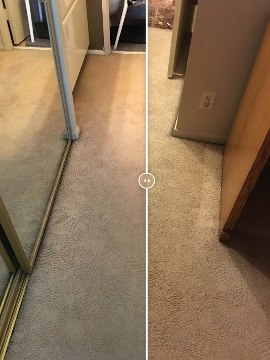 Professional Carpet Cleaning Services New Jersey