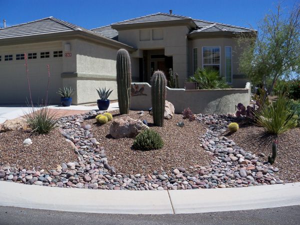 What Makes Professional Landscaping Essential in Arizona