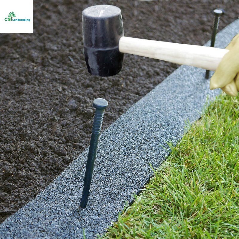 Tree Removal: Protect Lawns and Foundations