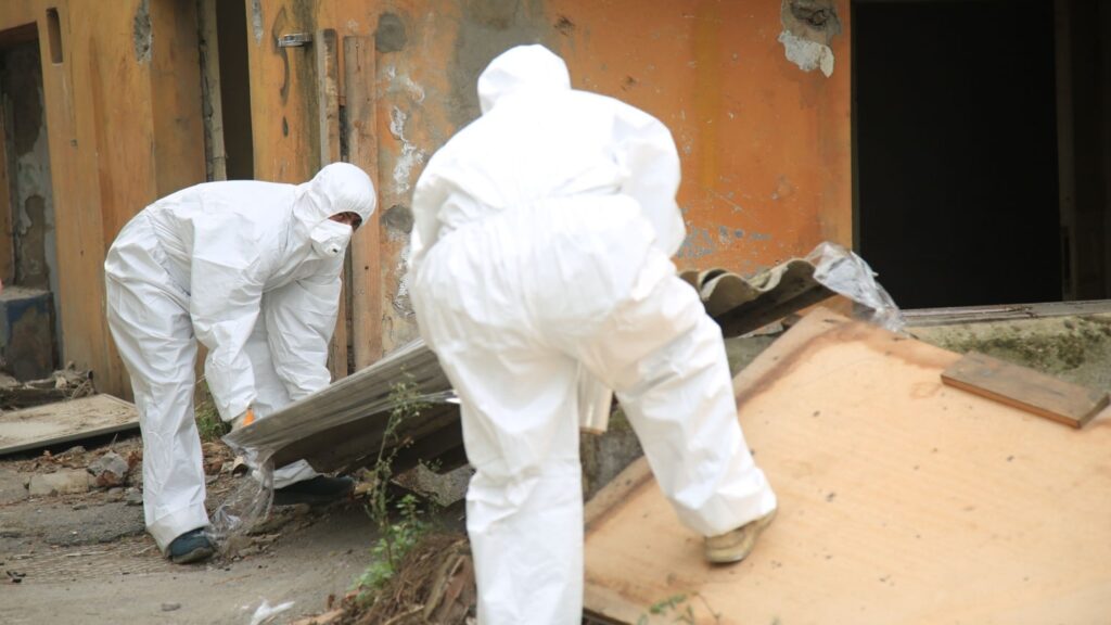 Professional Asbestos Testing Before Renovations