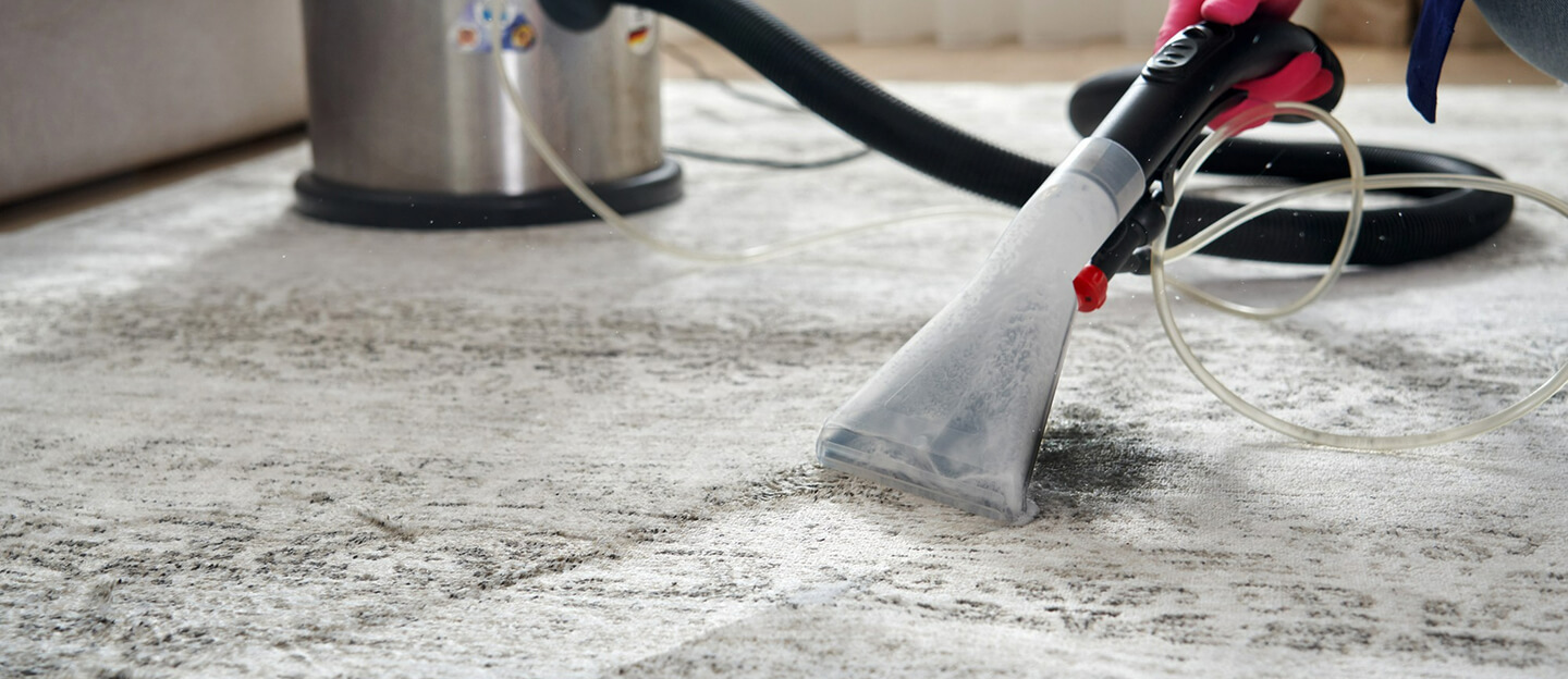 Eliminate Pet Stains and Odors with Carpet Cleaning