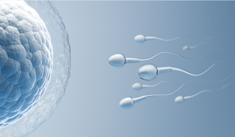 Advanced Surgical Sperm Retrieval – TESA, MESA, PISA Care: ivfmanasi — LiveJournal