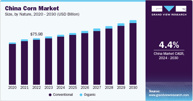 Corn Market Size, Share And Growth Analysis Report, 2030